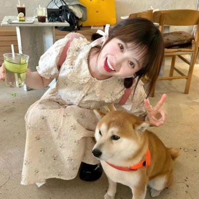 小勇者们~卡美拉~